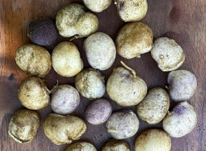 Crispy Snack Hog Peanut Seeds 