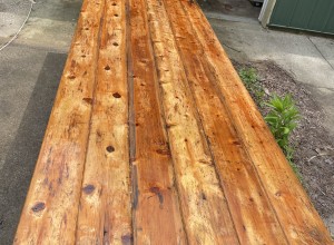 Cedar Propagation Table Number Four