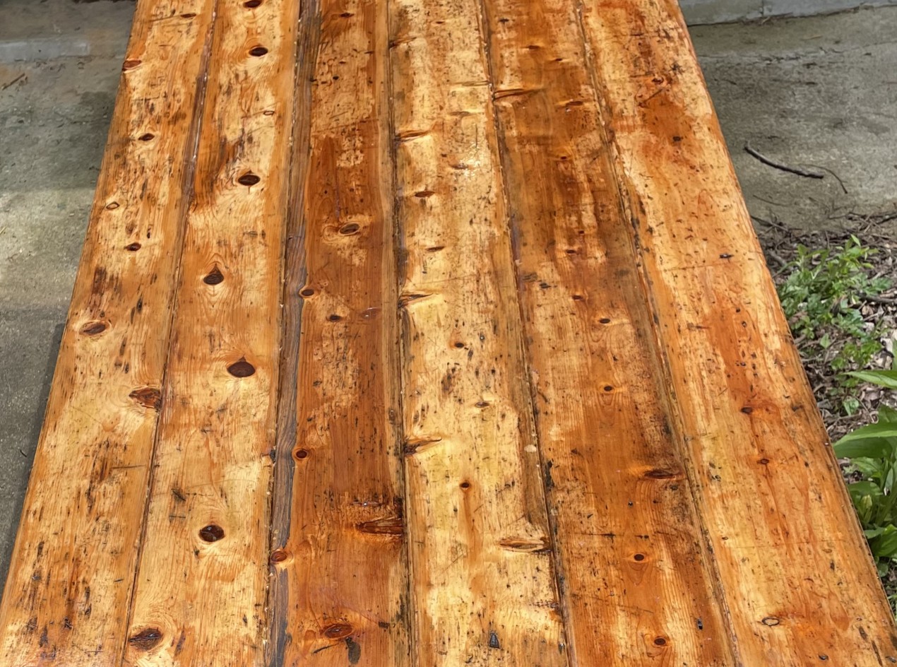 Cedar Propagation Table Number Four