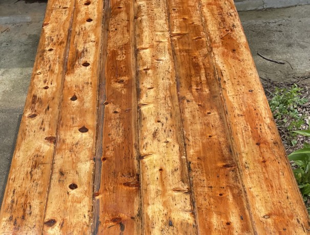 Cedar Propagation Table Number Four