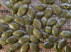 Hulless Styrian Pumpkin Seeds