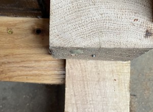 Oak Propagation Table Number One and Chair