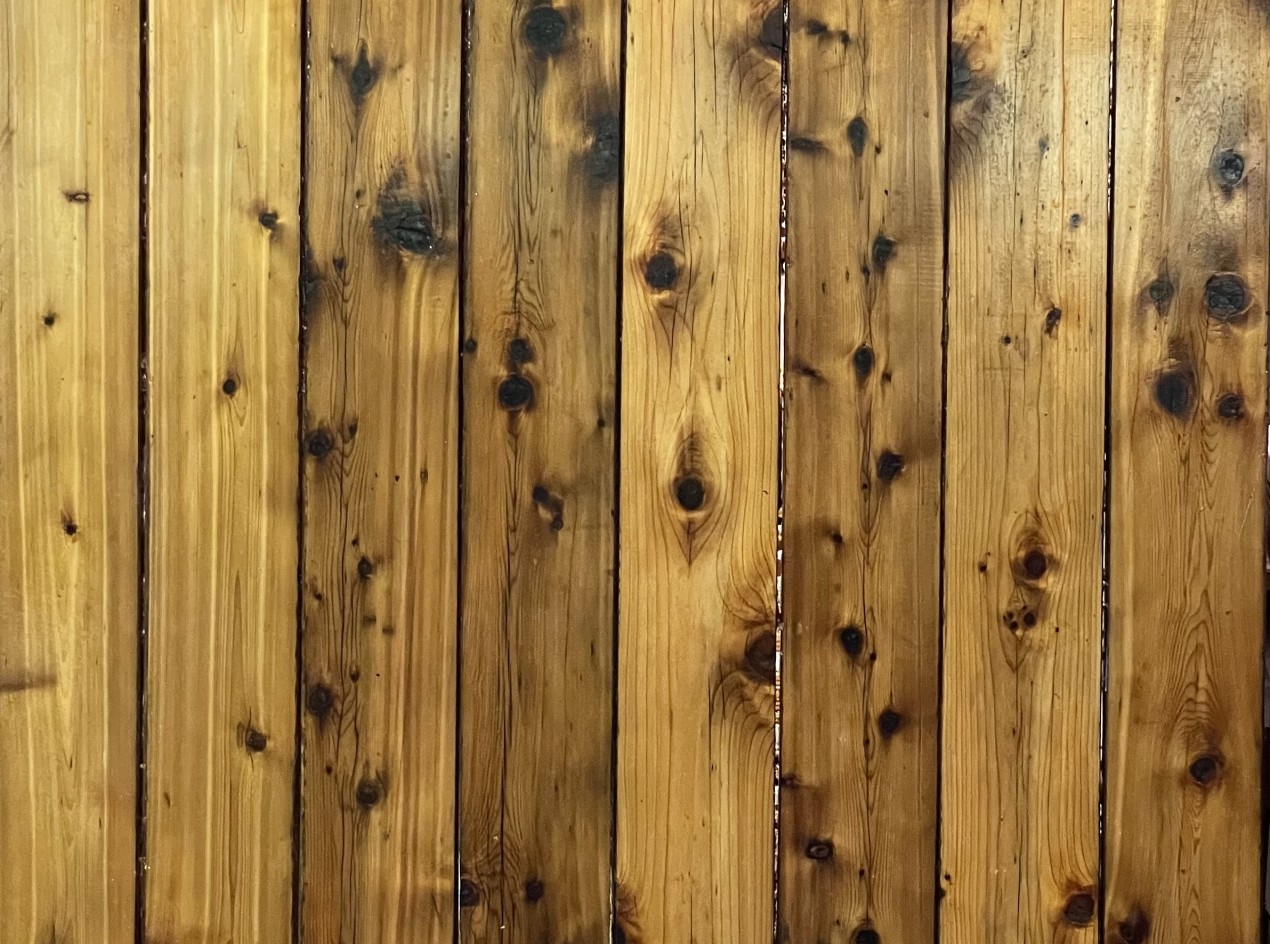 Cedar Propagation Table Number Two