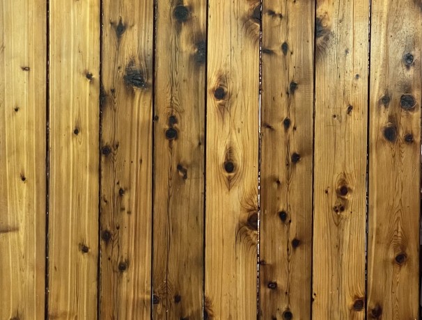 Cedar Propagation Table Number Two