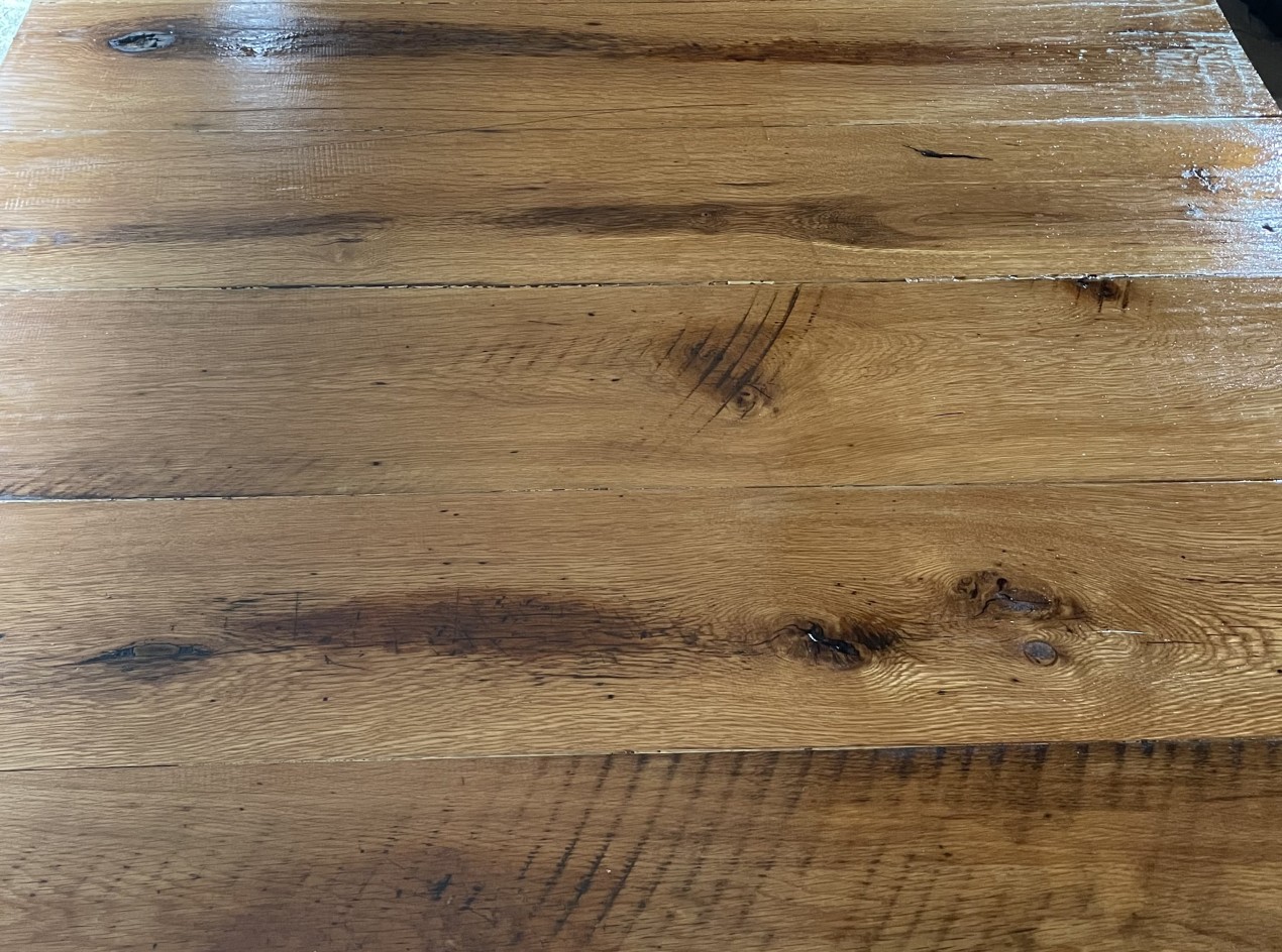 White Oak Propagation Table Number Six