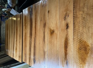 White Oak Propagation Table Number Six