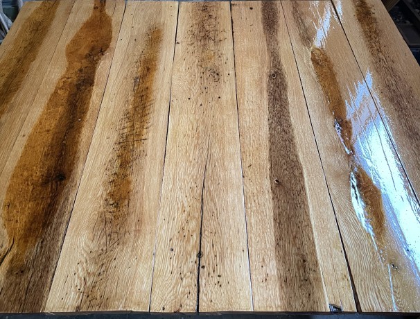 White Oak Propagation Table Number Five White Oak Propagation Table Number Five