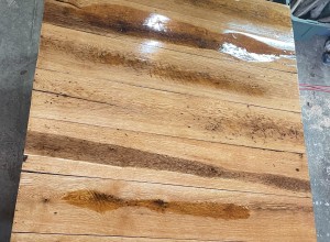 White Oak Propagation Table Number Five