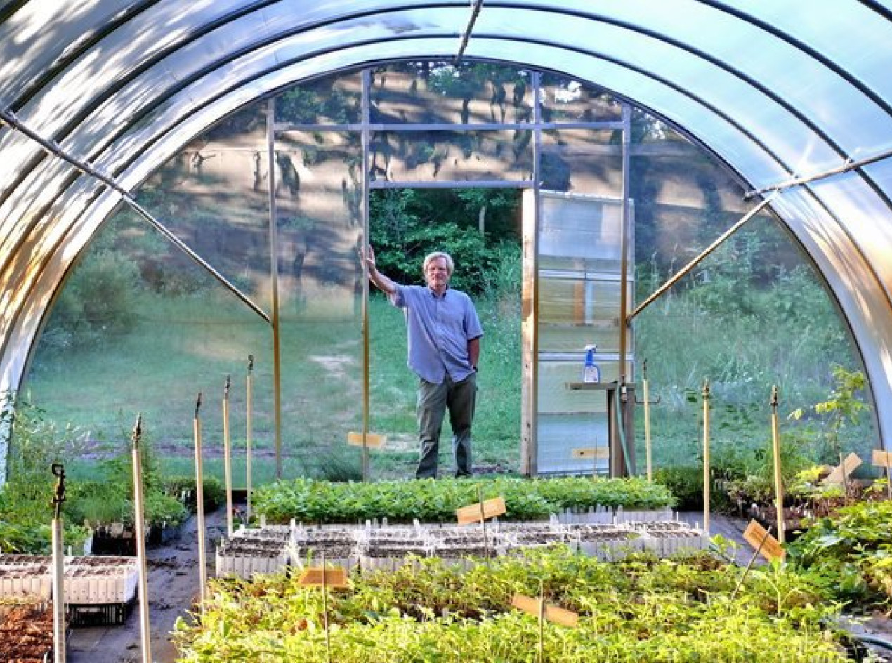 Greenhouse Sale