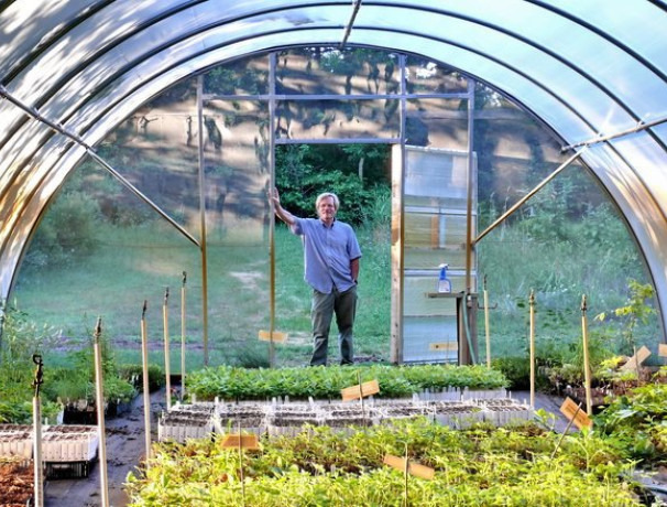 Greenhouse Sale