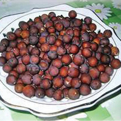 Products OIKOS Tree Crops